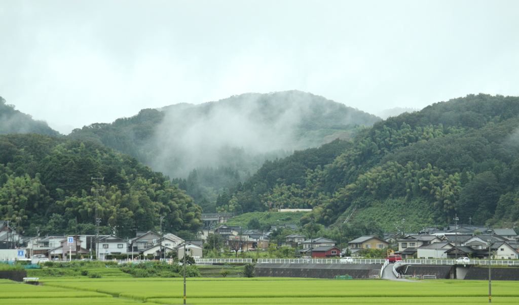 小雨に煙る山の峰