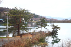 桜咲く風景・・城端桜が池