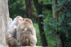 おまえ・・分かってるのか・・・