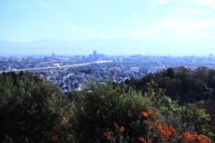 呉羽山より望む富山市街・・そして立山連峰