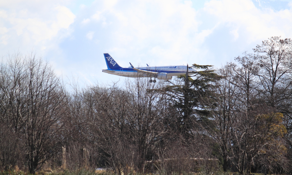 植物園上空通過中・・おかえりなさい