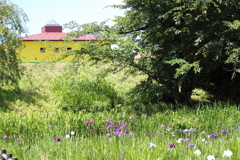 かわいい児童館が夢を与える公園　＾＾