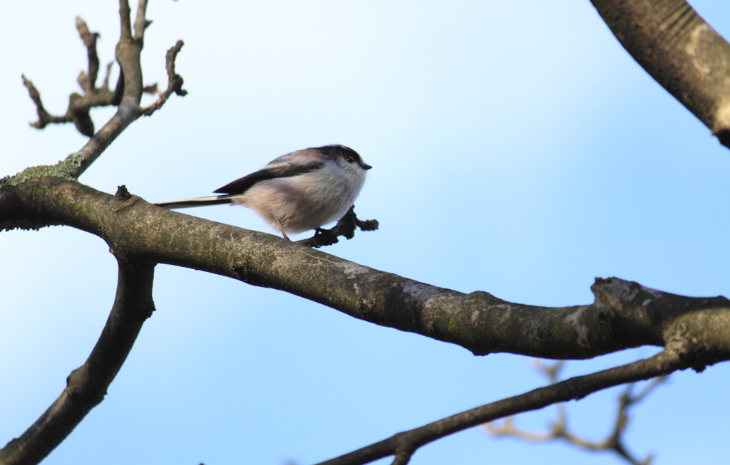 出会えたのは嬉しいけど・・３