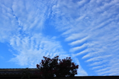 秋の空・・雲