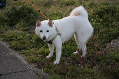 おはよう～＾＾