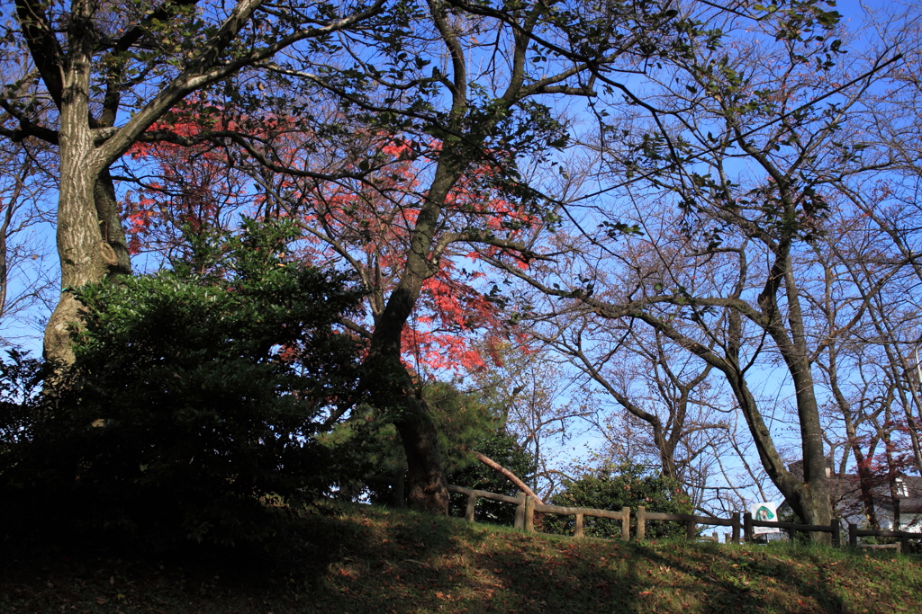 もうすぐ冬呉羽山