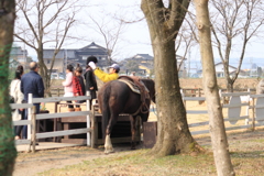 お馬に乗るときはしっかりかぶらないとね