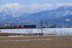 雪の立山連峰が見守る中.・・貨物列車が行く♪