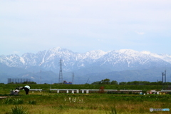 農業地帯より眺める立山連峰