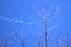 あっ飛行機だよ