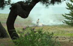 浜辺も草が・・手入れが大変！