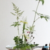 華とは言えないけど