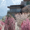 花の森　天神山ガーデン