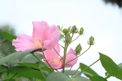 微笑み