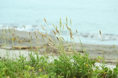 猛暑だけど・・秋の気配感じる浜景色