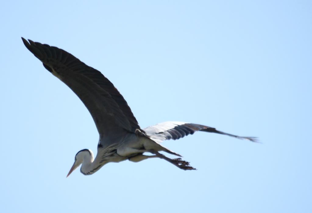 いざ・・目的地にむかって・・
