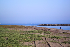 のどかなり・・今朝の海景色