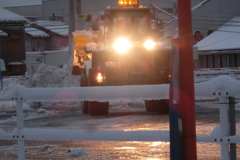 雪で大わらわ