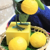 ぼ、ぼく持ちきれないや・・・(';')