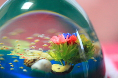 夢の海