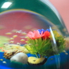 夢の海