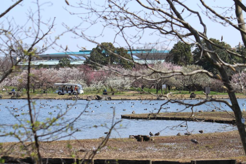 園内バスで散策＾＾