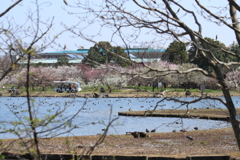 園内バスで散策＾＾
