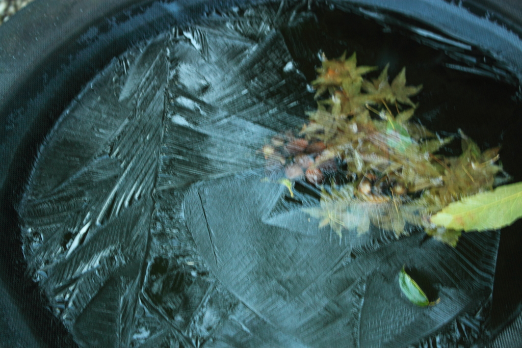 水鉢に氷サムッ　"(-""-)"