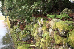 山の苔蒸す石垣