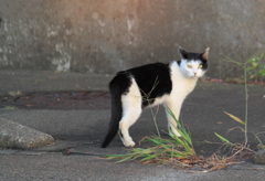 なんか・・みやげ持って来たのかと。。＾＾；