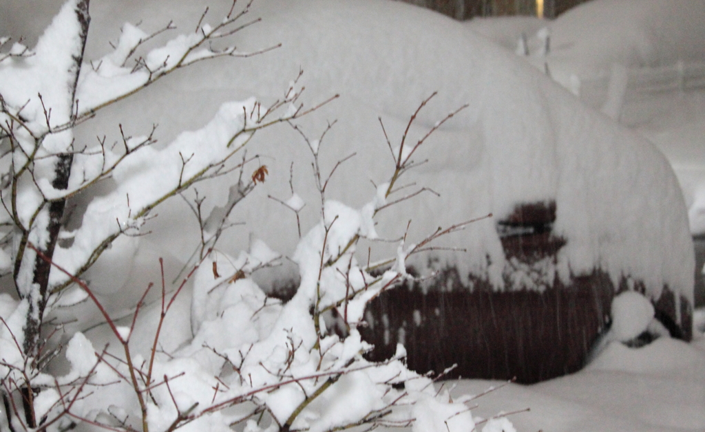 想定はしててもやはり大雪は大変　※