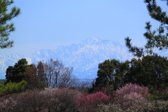 春の山はクッキリ綺麗に見えないけど立山連峰剱岳は見えた方が良い(^'^)