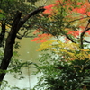 紅葉際立つ濠の傍