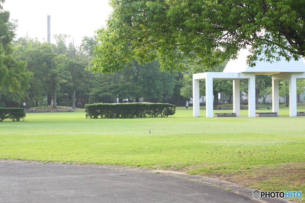 早朝の公園歩き・・綺麗な空気がいっぱい