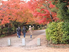 紅葉見物のお嬢さんたち　＾＾