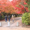 紅葉見物のお嬢さんたち　＾＾