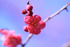 気持ちのいい日になったね