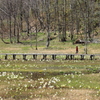 飛騨　池の原湿原　１
