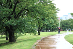 雨の公園