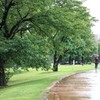 雨の公園