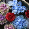 ボールで癒しの・・おもてなし～紫陽花達で一杯＾＾