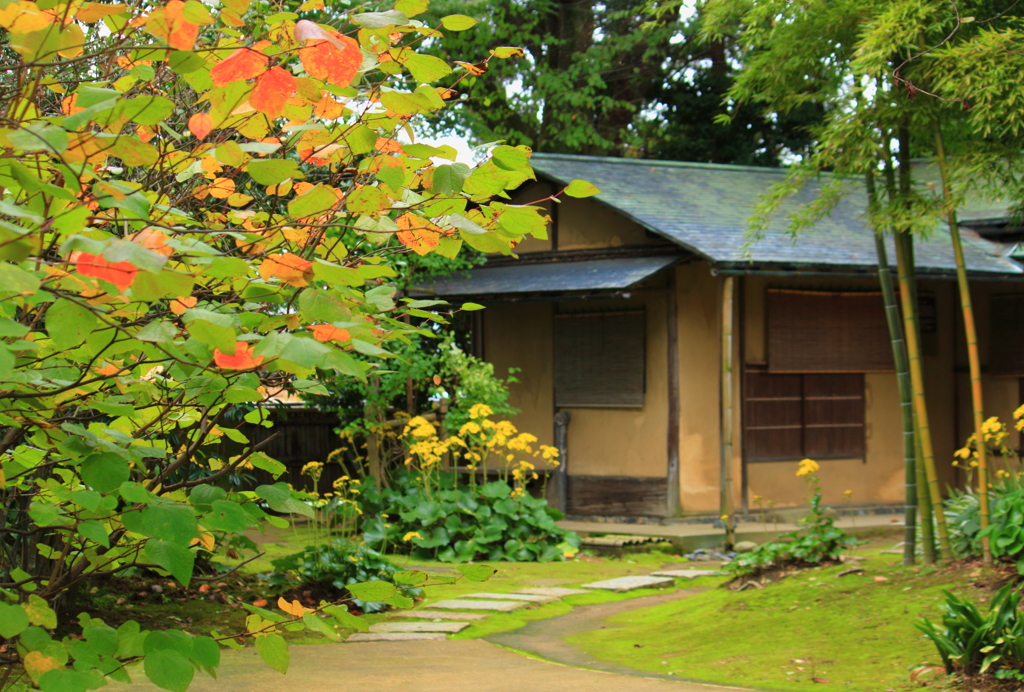 侘び寂びを感じる秋の三入庵