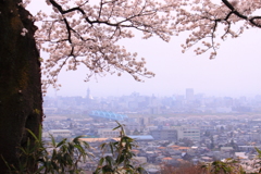 呉羽山より市街地望む・・花曇りですね