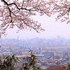 呉羽山より市街地望む・・花曇りですね