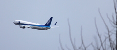 飛行機