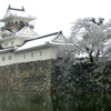 雪の日の富山城