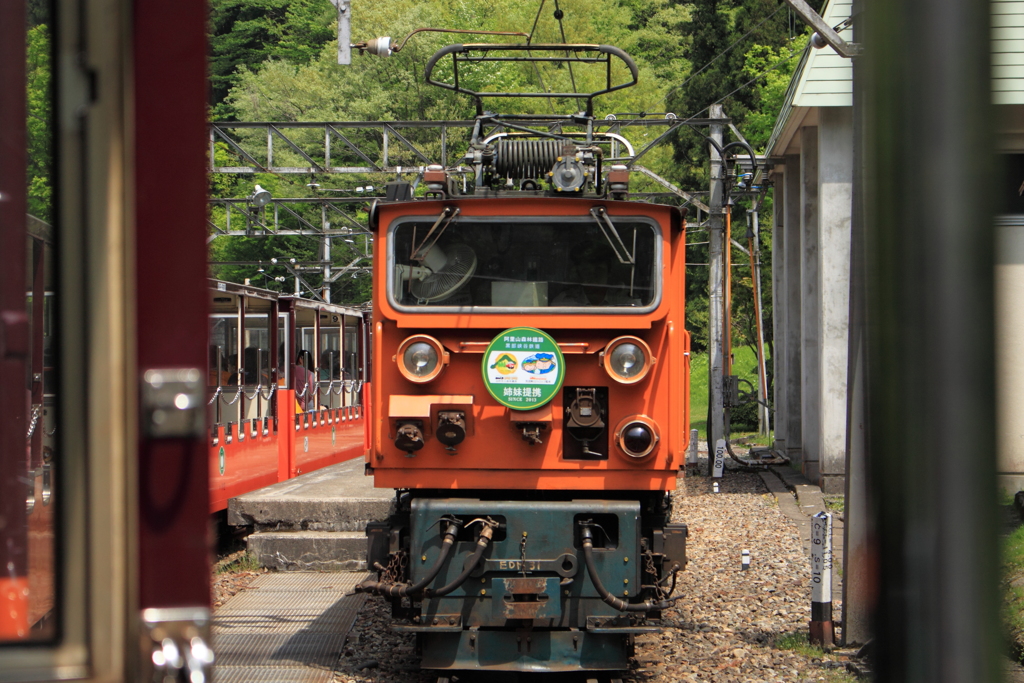 トロッコ列車　顔＾＾