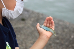ねえ・・僕の釣ったの見てと誇らしげな坊や