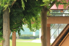 朝の公園