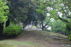枝垂れ桜の見える坂